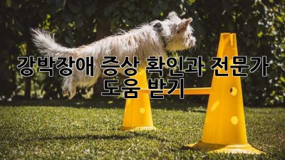 강박장애 증상 확인과 전문가 도움 받기
